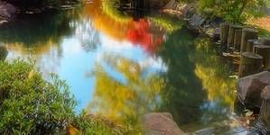 Planificación de un estanque