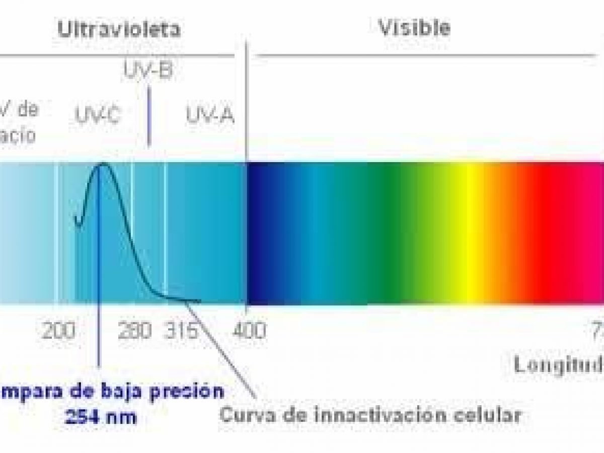 Luz negra - Qué es y cómo se utiliza