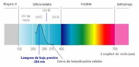 Que es la radiación UVB y qué lámpara es la mejor para tu terrario -  Tiendanimal