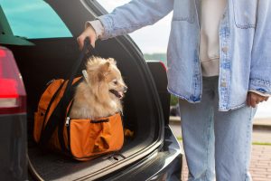 Los mejores transportines para perros