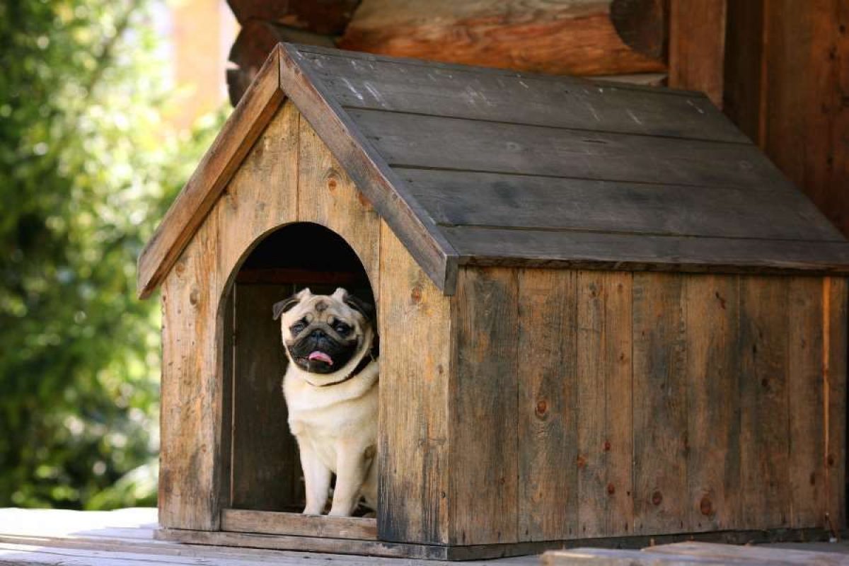 Casa para perro, de madera con puerta y ventana, de techo rojo y