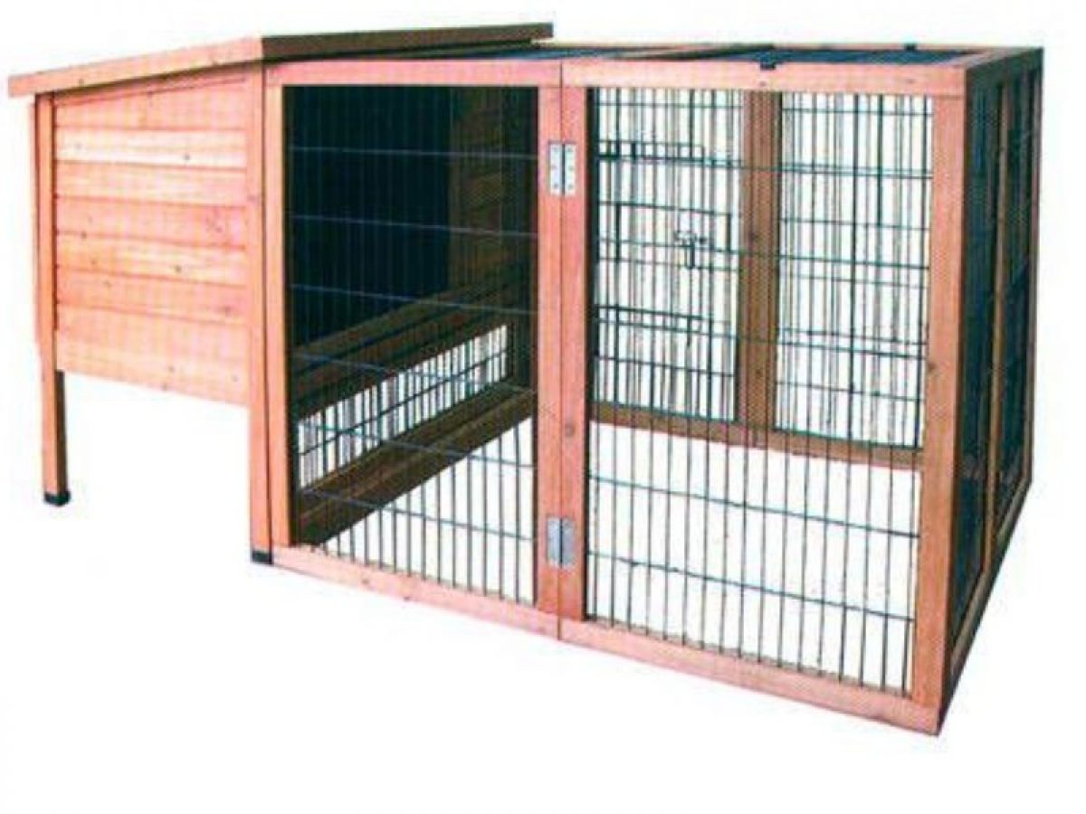 para conejos y cobayas en el jardín Tiendanimal