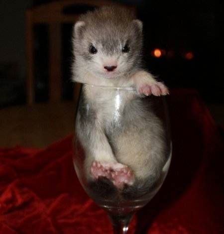 mejores productos aliexpress