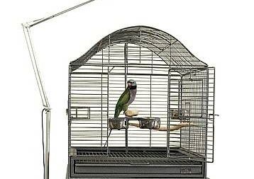 ¿Son necesarias las lámparas UVB/UVA para aves?