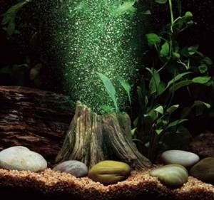 decorar-acuario-sin-plantas