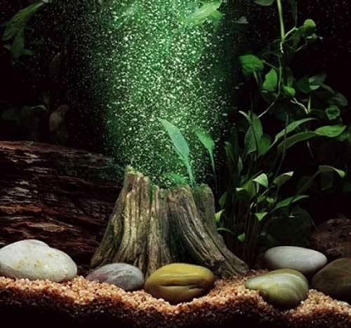 decorar-acuario-sin-plantas