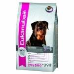 eukanuba_rottweiler