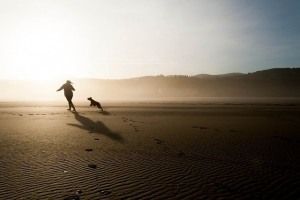 ¿Cómo transmitir serenidad y paciencia a tu perro activo? - Parte II