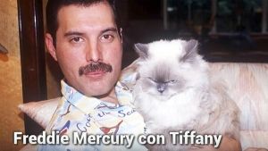 Famosos que aman a sus gatos