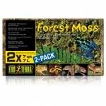 mta2872-Sustrato-tropical-Forest-Moss