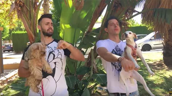 Canción dedicada a los perros