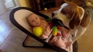 Perro juguete bebé