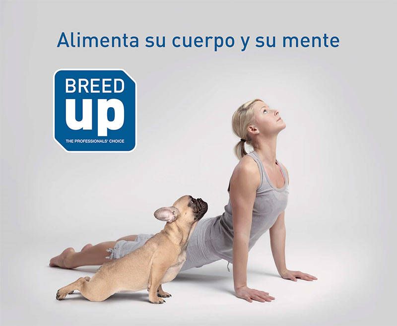 pienso breed up - alimento para perros superpremium