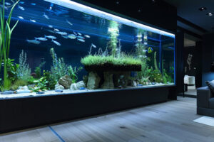 Errores comunes al mantener un acuario en casa