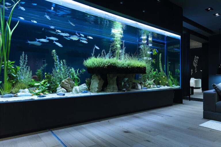 Errores comunes al mantener un acuario en casa