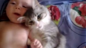 Gato no se separa del bebé