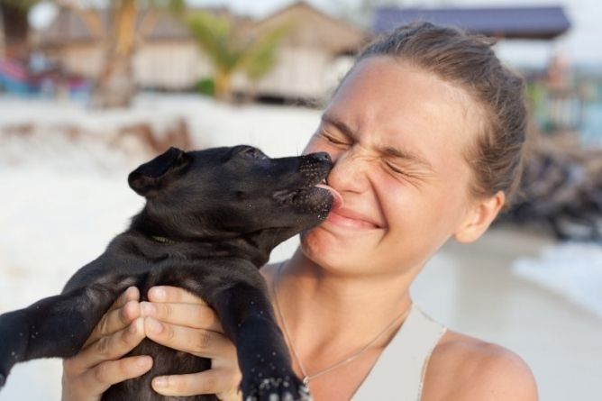 remedios naturales para el mal aliento en perros