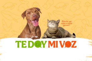 Día Internacional de los Derechos de los Animales