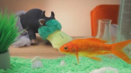 Colega, ¿dónde están mis juguetes? – QMDC 1×11