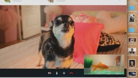 El amor platónico de Fifi – QMDC 1×10