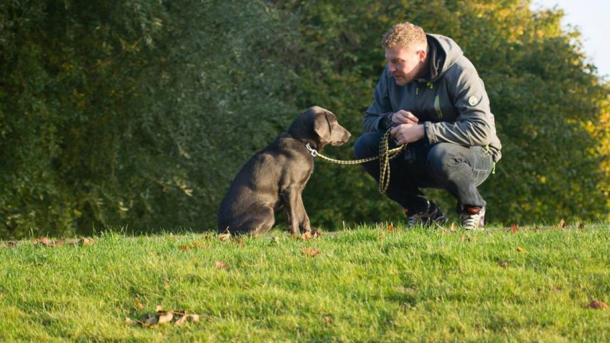 10 pautas para que tu perro se porte bien en el parque