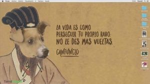Nuestras mascotas disfrutan de la Semana Santa
