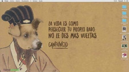 Nuestras mascotas disfrutan de la Semana Santa – QMDC 1×14