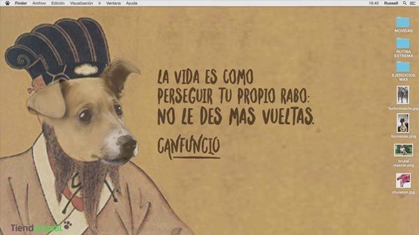 Nuestras mascotas disfrutan de la Semana Santa