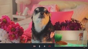 El admirador secreto de Fifi - QMDC 1x15