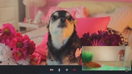 El admirador secreto de Fifi – QMDC 1×15