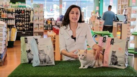 Descubre la gama de pienso para gatos Criadores