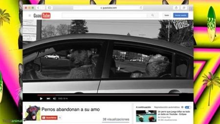 Tu peludo nunca lo haría, no lo abandones – QMDC 1×21