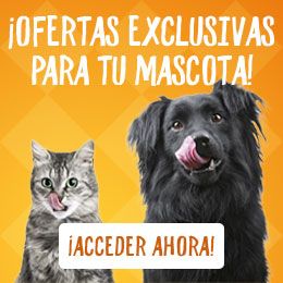 ¡Aprovecha nuestras ofertas!