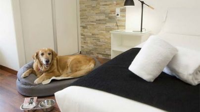 Casual Hoteles, establecimientos Pet Friendly gracias a Tiendanimal