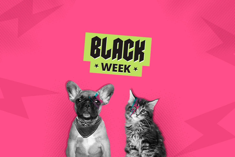 black-friday-mascotas-tiendanimal-blog-21