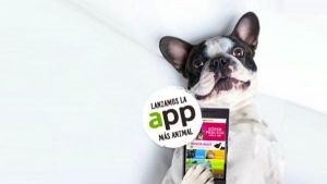 app-tiendanimal