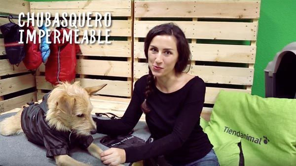 Compra Capataz paleta Análisis: Chubasquero con velcro para perros - Tiendanimal