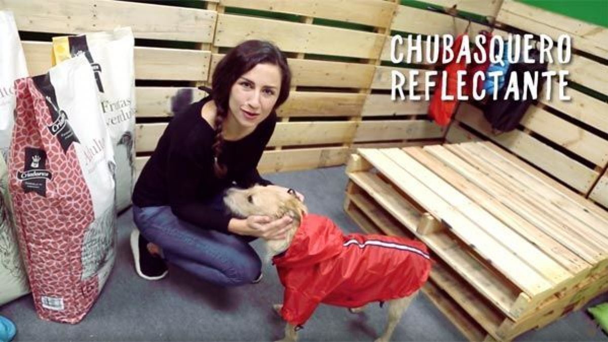 Análisis: Chubasquero reflectante para perros Tiendanimal