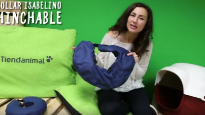 Análisis: Collar isabelino