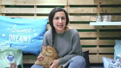 Análisis: Arena para gatos, ¿de sílice o aglomerante?