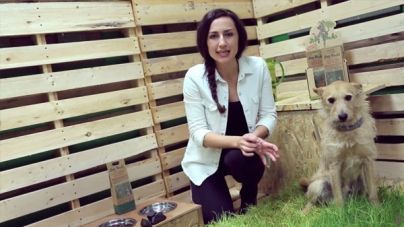 Análisis: Antimanchas de orina para el césped Dog Rocks