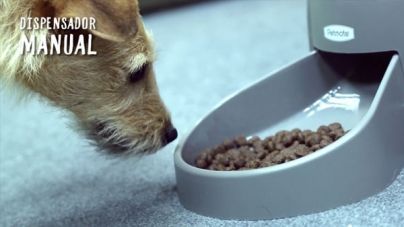 Análisis: Comedero automático de PetMate