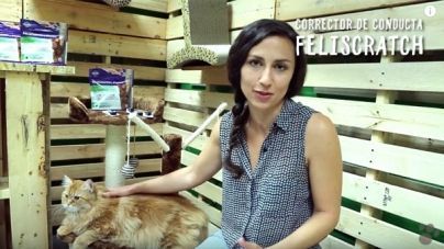 Análisis: Corrector de arañazos Feliscratch de Feliway