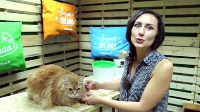 Análisis: Fuente para gatos Catit Senses