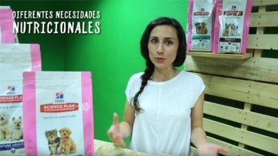 Análisis: Hill’s Science Plan Small & Miniature