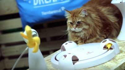 Análisis: Juguetes interactivos para gatos FroliCat