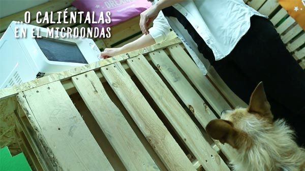 Análisis: Alimento húmedo Criadores en bandeja para microondas