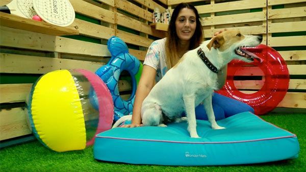 Análisis: Colchón refrescante para perros Wondermals