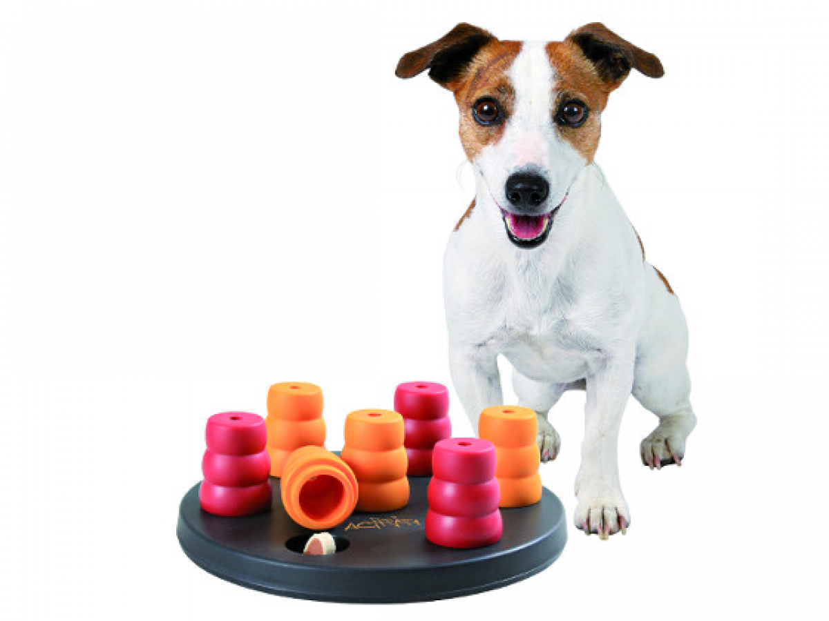 Juguetes Interactivos para perros 🐶🧠【 Guía Completa✓】 