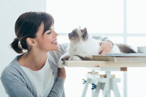 terapia-con-gatos